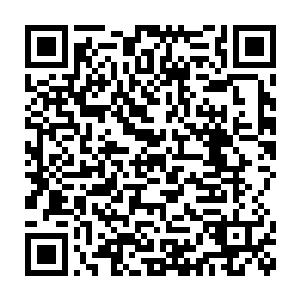 本来乖乖坐在一边听故事的小熊宝宝很嫌弃地瞥了眼他的同胞亲兄弟二维码生成