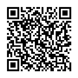 本来分在我们这里那几个天一道的修士和我们掌门相谈甚欢二维码生成