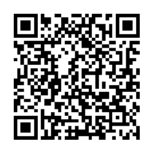 本来利用木槿提升修为用在后期冲击化神是最合适的二维码生成