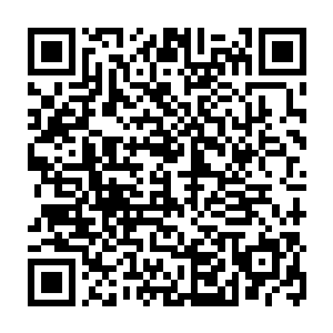 本来在俱乐部里安排这么一个完全不属于队医编制的私人医生就很奇怪了二维码生成