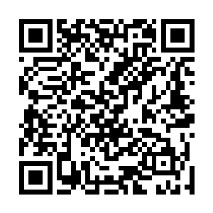 本来少爷我呢看在你是美佳表姐的份上还想要尊敬你几分二维码生成