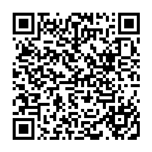 本来就和白青云修为层次之上相差很多的刑罚长老终于再也拖不住白青云二维码生成
