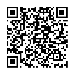 本来就已经处在崩溃边缘的日军在这一波手榴弹的轰炸之下二维码生成