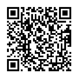 本来已经用着最后一口气续命的金不凡总算缓了过来二维码生成