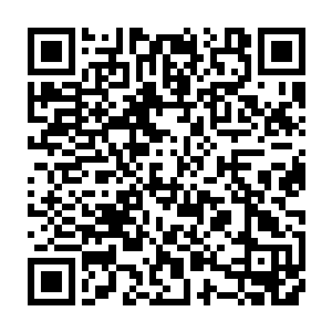 本来很是狰狞的魔灵此刻哪里还有之前那般嚣张的不可一世的魔王模样啊二维码生成