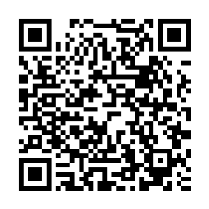 本来我打算到了你丹田看到乾坤令牌之后再与你讨论这个问题二维码生成