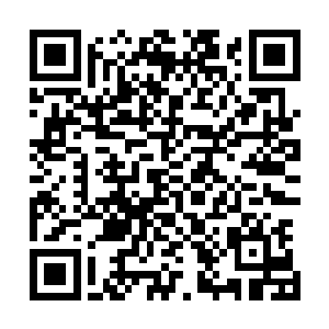 本来拥有着褐色眼瞳的地魔龙也顿时变成了妖异的血红之色二维码生成