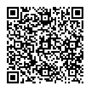 本来是打算着或许有一天能跟李谦哪怕只是象征性地举办个小仪式什么的就算人家是妾二维码生成