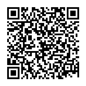 本来本王还期待那小辈降临之后吸收了那小辈的能量能够实力恢复的快一点二维码生成