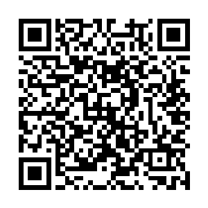 本来注意力都在阴魂身上的视线都挪到了张潇晗的身上二维码生成