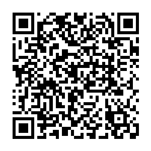 本来还能够和他打过平手甚至占据上风的两人直接的被他用狼牙棒给拍死了二维码生成