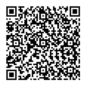 本来这个差事很轻松可是突然冒出的那个许福将秦始皇赢政变成了不归十八层地狱管辖的妖尸二维码生成