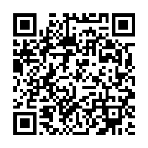 本次比赛的官方解说癫笑大师与小兔正在解说着比赛二维码生成