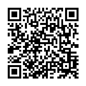 本次行程或将会寻求与星空科技董事长王世子进行会晤……二维码生成