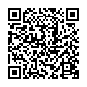 本源之力涌动……最终一团如梦似幻的光球悬浮在沈凡的魂海二维码生成