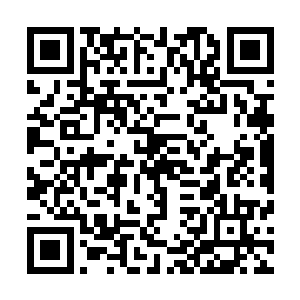 本灵恐怕还会被他发现――――――绝对不能让他苏醒复活二维码生成