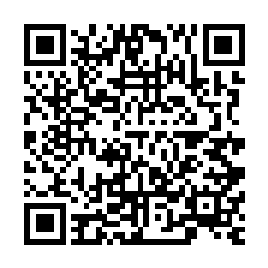 本王可以请强大的仙符师把你提升为二阶符灵甚至时三阶符灵二维码生成