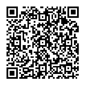 本该无形无态的天地之力竟然在浩家圣皇的头顶上方凝聚成一面如同实质化的巨大手掌二维码生成