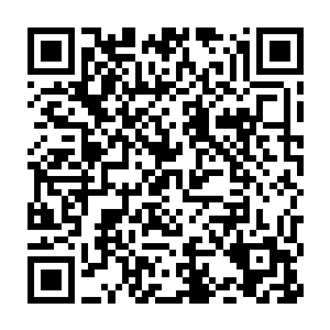 本身就是修炼了一门特殊强大的寒冰系功法才导致秘境呈现这种形态二维码生成