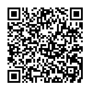 朱二公子把他安顿在了城内一处连绵数里大小的高门大宅中的华美独院后二维码生成