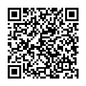 朱珠和燕宇带着杨夏冰和张志学走入临时搭建的简易营地二维码生成