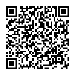 朱珠的意见是根据任务的难度和贡献度的要求来联系其他组成人员二维码生成