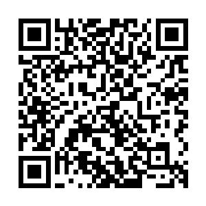朱雀街是众人所在的这个修真界联盟当中最为繁华的商业一条街二维码生成