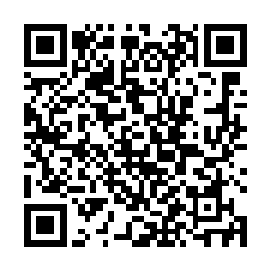 朴东相一边游动一边在水下对他比划着――五分钟延时二维码生成