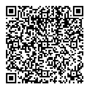 朴心妍按了一下发牌器上的一个按钮 发牌器呲的一声对着庄家的位置吐出一张牌 而后转过方向 对着另外四个闲家依次发牌二维码生成