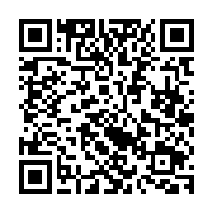 机甲大赛主办方的代表眼神无奈地瞥向那名不知轻重的军团代表二维码生成