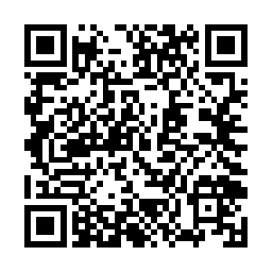 杀伐果决的夜十二是不是真的已经被现实磨去了棱角二维码生成