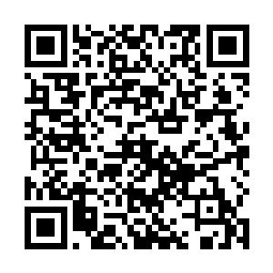 杀伤力更是可怕了……不但是秦方他们开始出现损伤了二维码生成