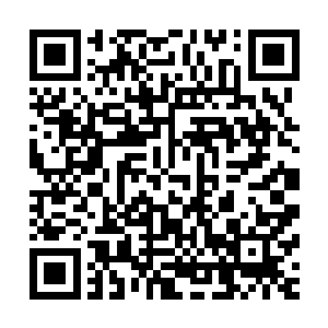 杀害我们魏家主脉的小子大风堡堡主已经亲自出手去对付他了二维码生成
