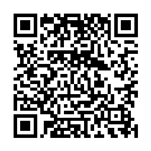 杀戮王殿内的一炼绝世可不是寻常的一炼绝世能够相比的二维码生成