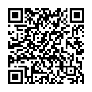 杀死目标之后一定要啃噬掉目标的头颅才会继续发起攻击二维码生成