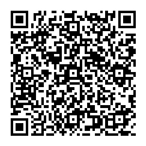 李一凡目光怨毒 在风清扬平静的眼神中 却是感受到一丝心悸 微不可查的一跳 竟是不敢瞬间答应二维码生成