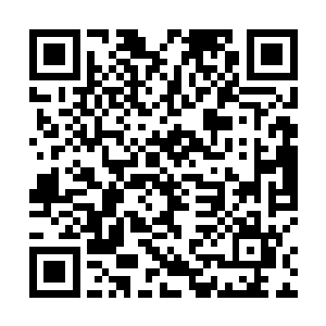 李云天和杨开交上手的时候他们甚至忍不住欢呼了一声二维码生成