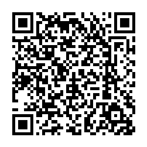 李兰枫有些不确定自己刚才的表现是好是坏……可能是太过重视凌兰了二维码生成