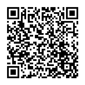 李婉眉在男主来宸宫的时候刻意做出茶水被原主下毒不慎落红的样子二维码生成