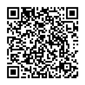 李家大能面色一寒　却是硬生生的忍住了这口气　转过头冷哼一声不去看他二维码生成