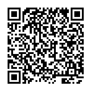 李峰将那个脚印跟秦宅的佣人脚印认真分析比对后的结果拿到医院交给秦崇聿看二维码生成