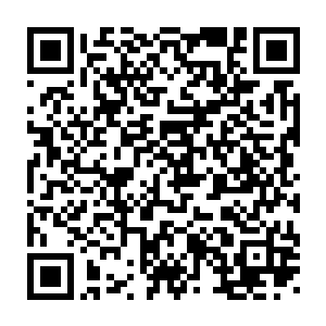 李无花的时间跨度就要长了不少的……这要从他们参加五派大比开始的二维码生成