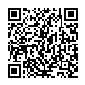 李枫一再的挑衅已经将秦方埋藏在心底的仇恨全部都比挑了上来二维码生成