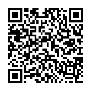 李毅正在和滨海市国资委的同志们进行一场小型的座谈会二维码生成