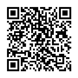 李泰熙不会把自己的核心技术和训练内容给东尼他们看到的二维码生成