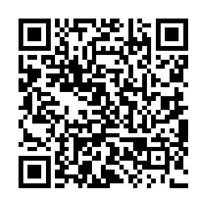 李耀和龙扬君已经将身上支离破碎的旧晶铠彻底妥协完毕二维码生成