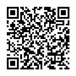 李耀在房门和四周墙壁上设置好了隔音符阵和警戒法宝二维码生成