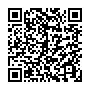 李耀的确在这两头巨兽身上发现了某种像是符咒一样的纹路二维码生成
