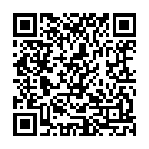 李耀让厉嘉陵带着所有侍卫在国家博物馆三四层之间守护二维码生成