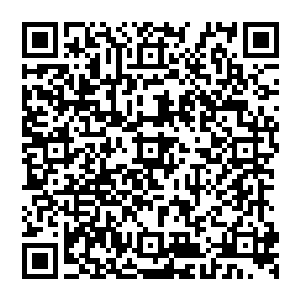 李老大他们之所以这一次不抽走大部分的贡献分是害怕那位充满杀气的人族强者事后找上他们二维码生成